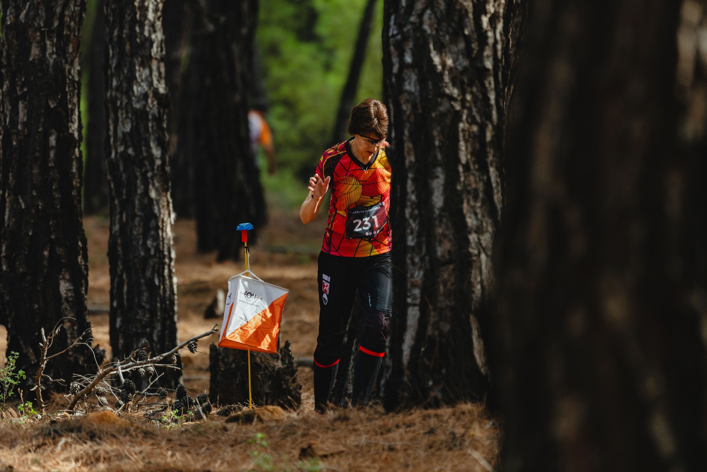 Taurus forests: mapping survey begins